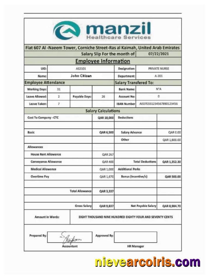 UAE MANZIL Healthcare Services salary slip